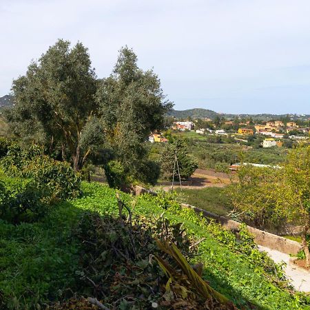 Live Finca El Gamonal Bajo Con Piscina Y Jardin En La Naturaleza Санта-Брихида Экстерьер фото