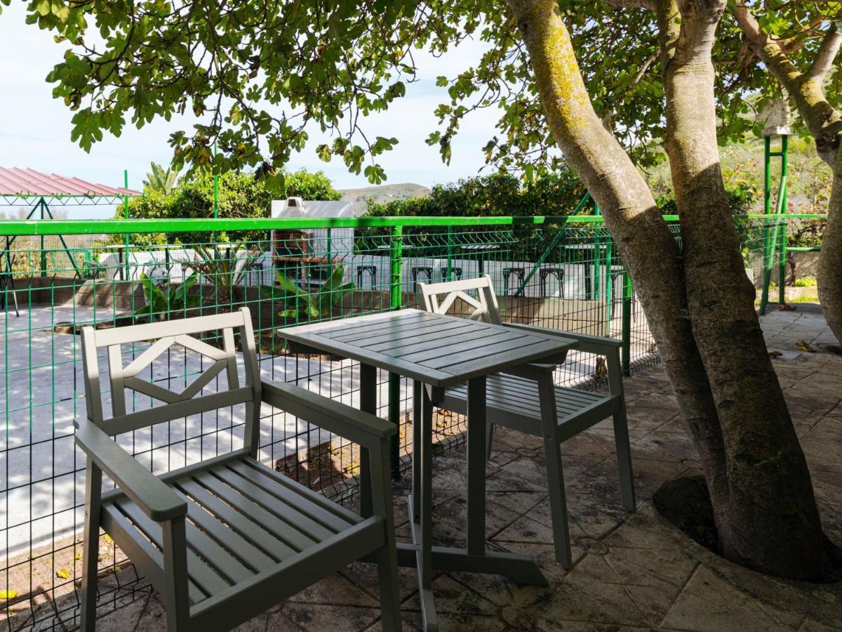 Live Finca El Gamonal Bajo Con Piscina Y Jardin En La Naturaleza Санта-Брихида Экстерьер фото